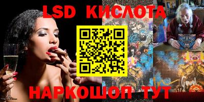 крисы Гагарин