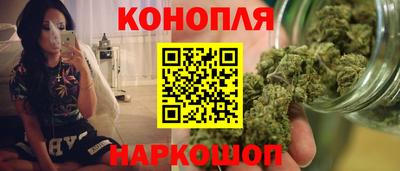крисы Гагарин