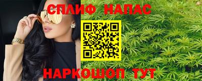 крисы Гагарин