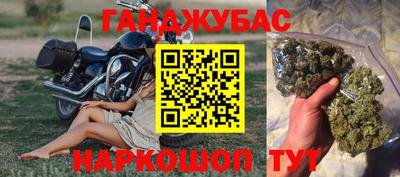 крисы Гагарин