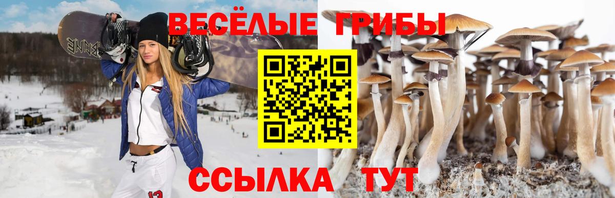 Джанкой  Псилоцибиновые грибы прущие грибы  Вход с VPN 